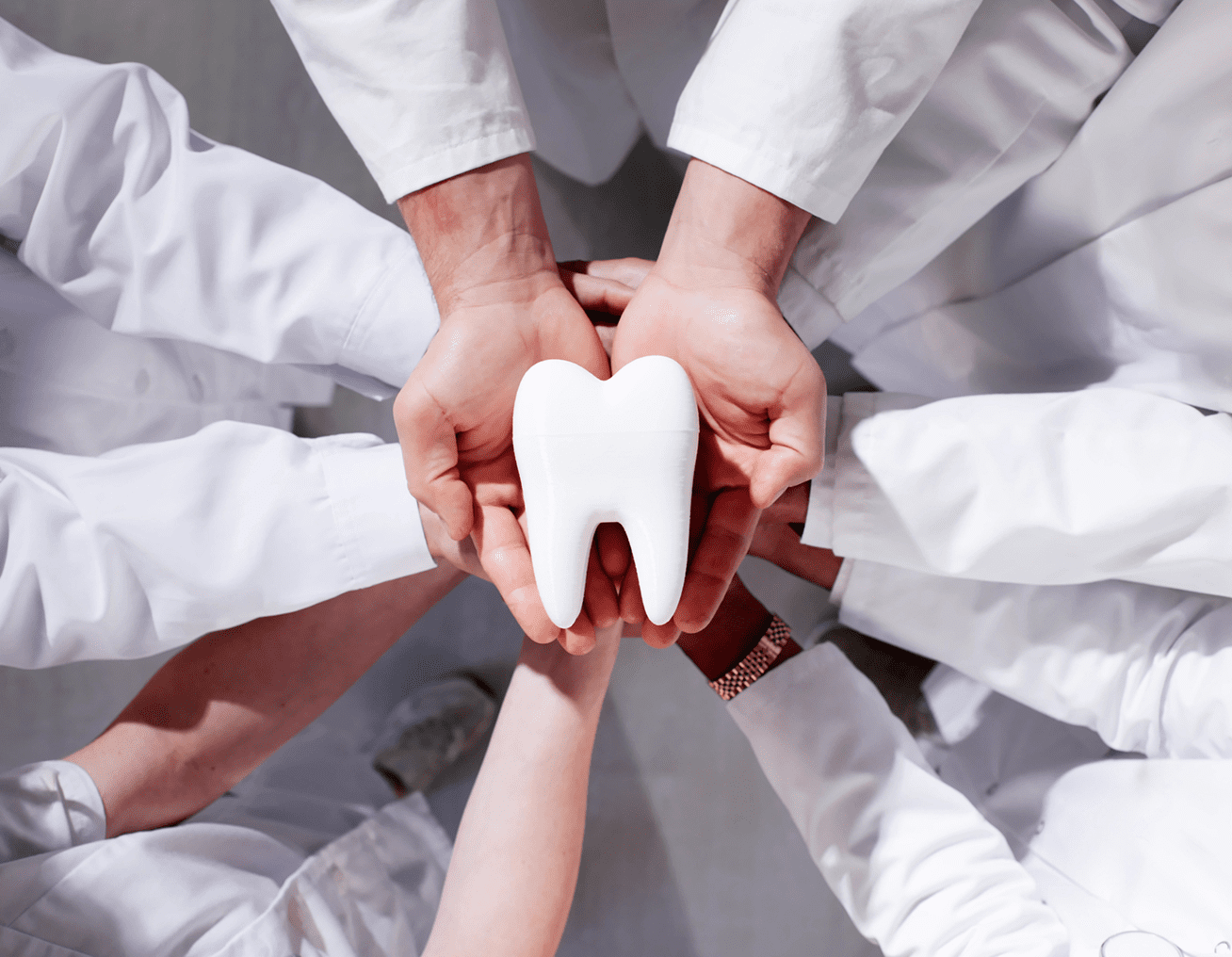 Hands holding tooth model in circle